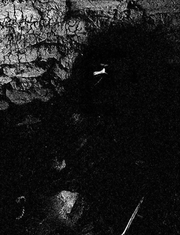 Ärid - Encyclopaedia Metallum: The Metal Archives