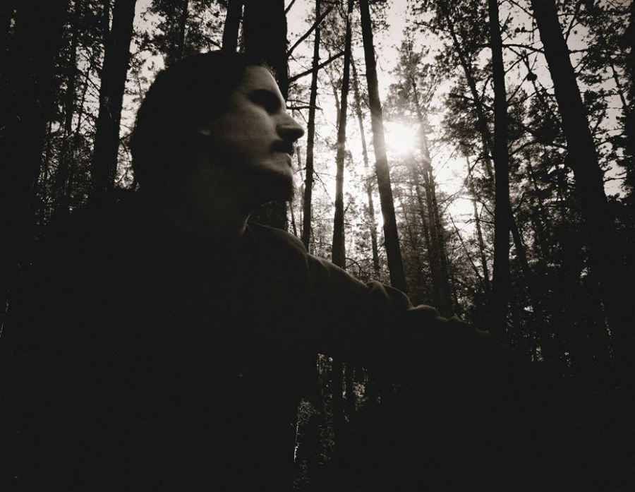 Trees, Clouds & Silence - Photo