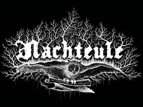Nachteule - Logo