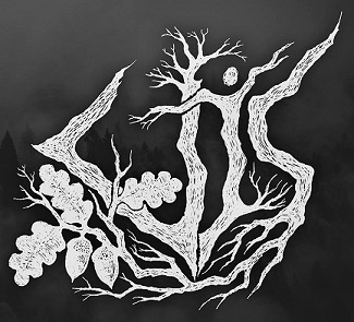 VIS - Logo
