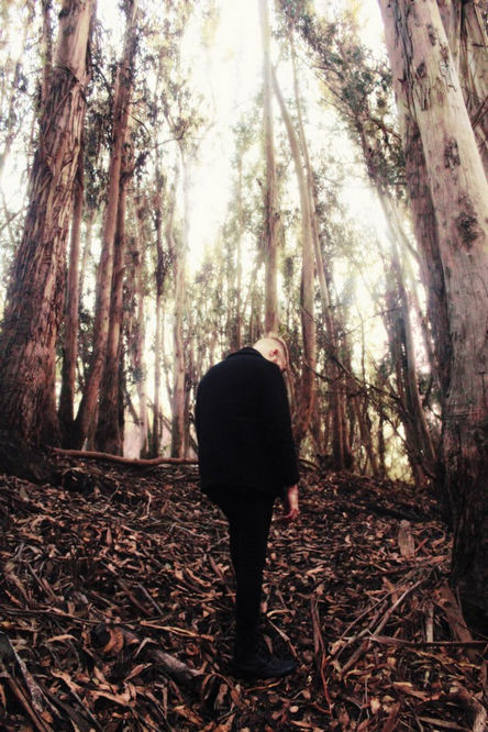 Nemorensis - Photo