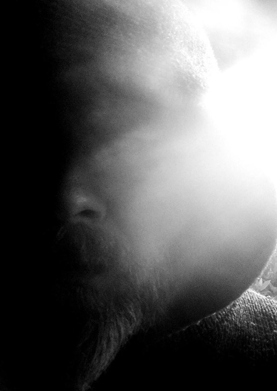 Sárr - Photo