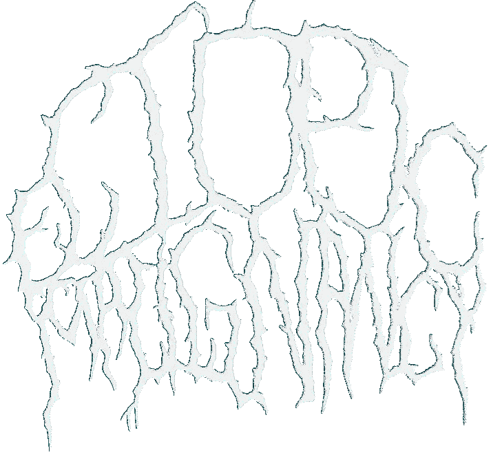 Ectopic Malignancy - Logo
