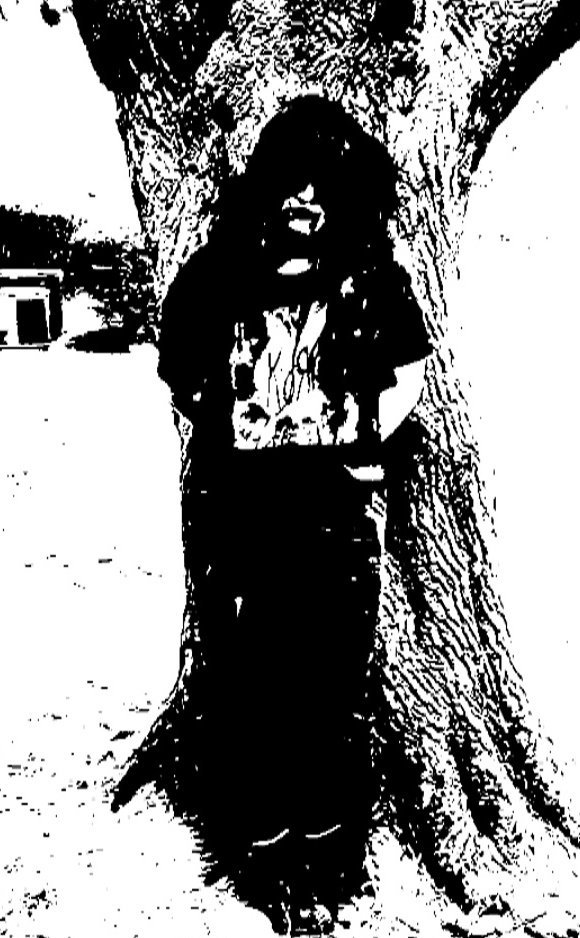 Traumatic Serenity - Photo