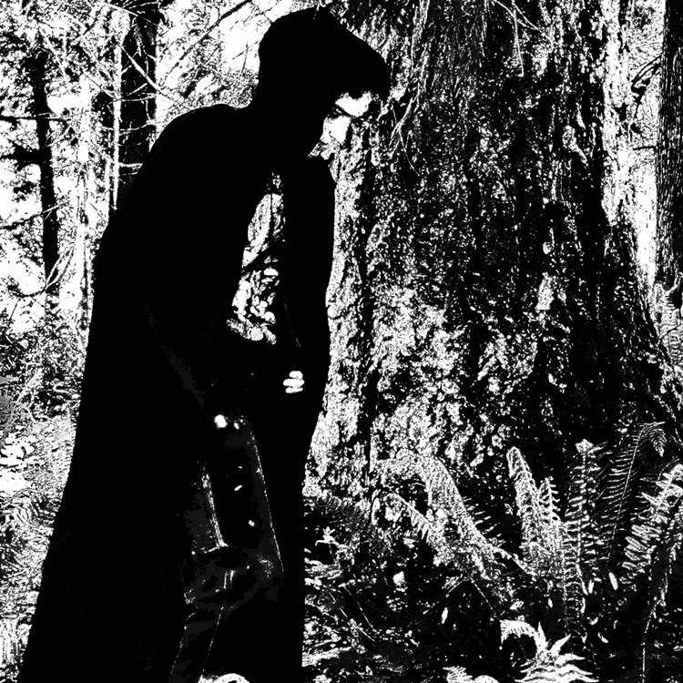Lunacy - Encyclopaedia Metallum: The Metal Archives