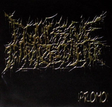 Обложка: Divulsive Impalement — Promo 2008