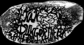 Nan Dungortheb - Logo
