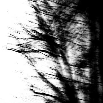 Wither / Asthenia - Asthenia / Wither