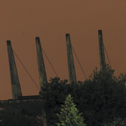 451941.jpg