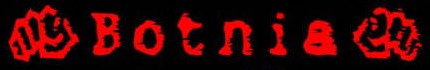 Botnia - Logo