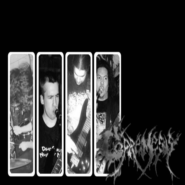 Copremesis - Photo