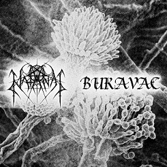 Natanas / Bukavac - Natanas / Bukavac