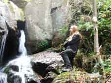 Eisiger Wald - Photo