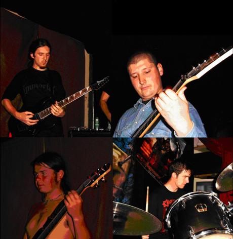 Crossbreed - Photo