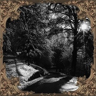 Chiral - Snow//Heritage