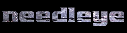 Needleye - Logo