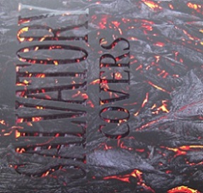 Salvatory - Covers