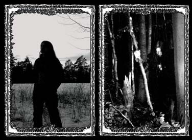 Wald Geist Winter - Photo