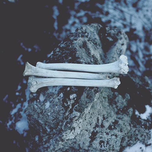ColdWorld - Ruins of MMXVII