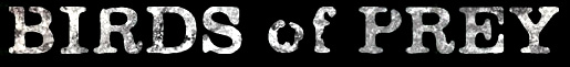 Birds of Prey - Logo