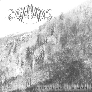 Nydvind - Eternal Winter Domain