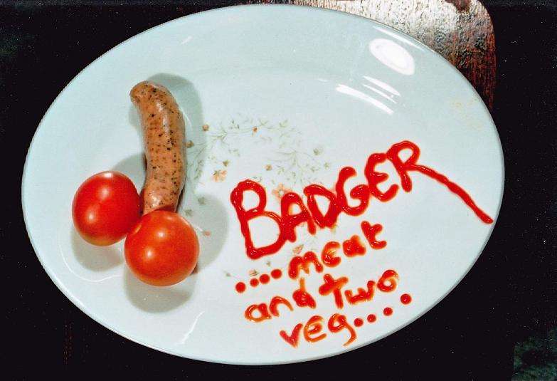 Badger Meat And Two Veg Encyclopaedia Metallum The Metal Archives badger-meat-and-two-veg-encyclopaedia-metallum-the-metal-archives