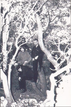 Dwimmerlaik - Photo