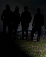 Elodea - Photo