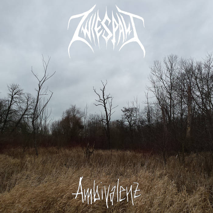 Zwiespalt - Ambivalenz