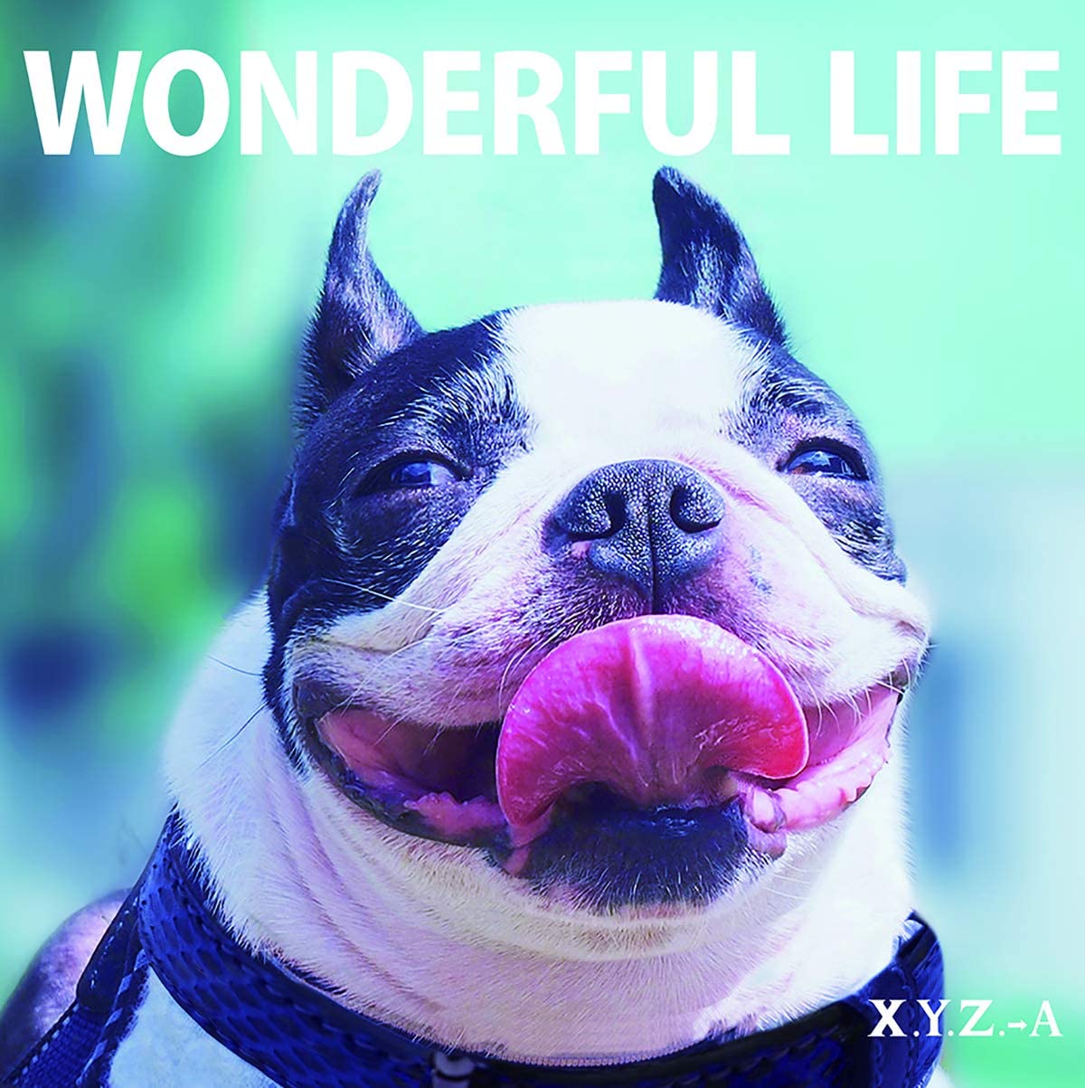 Were wonderful life. Wonderful Life. Wonderful Life (c наклейками). Wonderful Life pictures. It so wonderful wonderful Life.