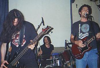 The Walruz - Photo