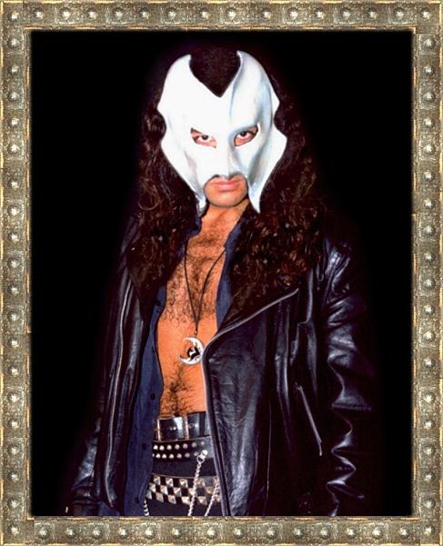 Wild Steel - Photo