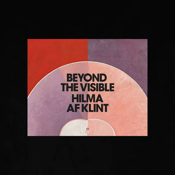 Buckethead - Beyond the Visible