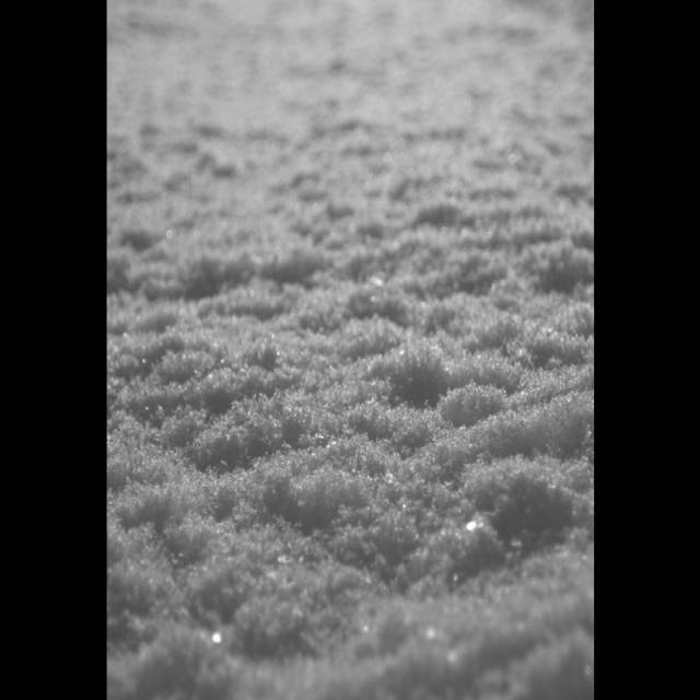 Обложка: Paysage d'Hiver — Schnee