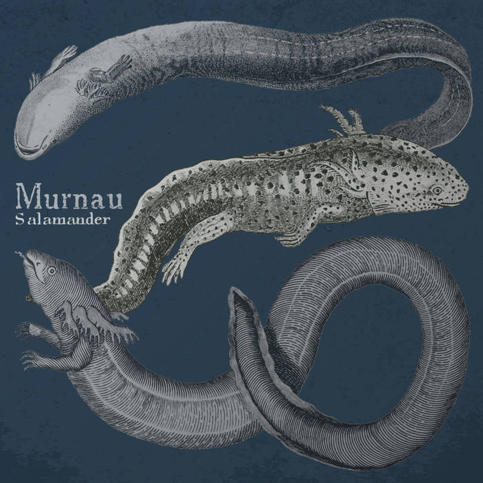 Murnau Salamander Encyclopaedia Metallum The Metal Archives